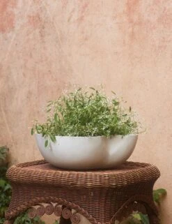 Dempsy Low Planter By Sarah Sherman Samuel -Home Decor Sale DempsyLowPlanter Eggshell Large 17 x6 A0657323 2