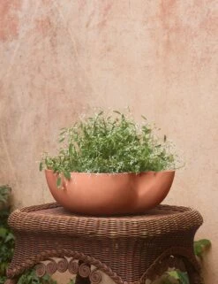 Dempsy Low Planter By Sarah Sherman Samuel -Home Decor Sale DempsyLowPlanter Sienna Large 17 x6 A0657324 2