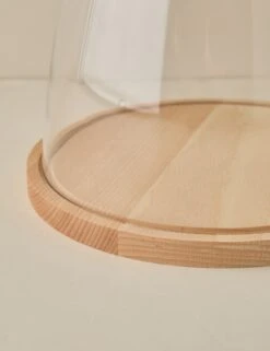 Glass Dome With Wood Base By EtúHOME -Home Decor Sale GlassDomewithWoodBasebyetuHOME Tall L0481943 Product 0053
