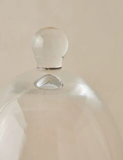 Glass Dome With Wood Base By EtúHOME -Home Decor Sale GlassDomewithWoodBasebyetuHOME Tall L0481943 Product 0054