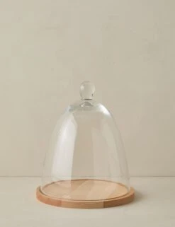 Glass Dome With Wood Base By EtúHOME -Home Decor Sale GlassDomewithWoodBasebyetuHOME Tall L0481943 Product 1861