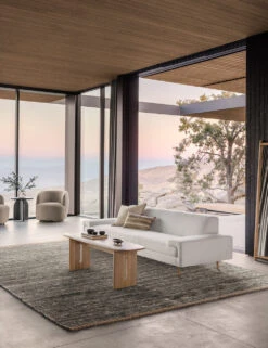 Khloe Rug 21 Khloe Rug -Home Decor Sale HaganLivingRoom 20987 KhloeCharcoal SITECROP 2