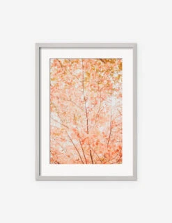Pastel Fall Tree Photography Print By Ingrid Beddoes -Home Decor Sale IngridPastelFallTreeSilverFrame