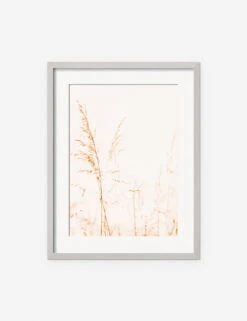 Wild Grass Photography Print By Ingrid Beddoes -Home Decor Sale IngridWildGrassSilverFrame