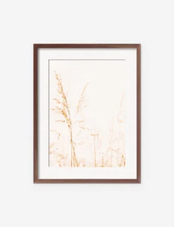 Wild Grass Photography Print By Ingrid Beddoes -Home Decor Sale IngridWildGrassWalnutFrame