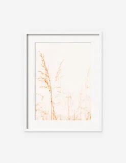 Wild Grass Photography Print By Ingrid Beddoes -Home Decor Sale IngridWildGrassWhiteFrame