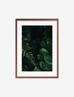 Still Life 14 Photography Print By Ashley Johnson -Home Decor Sale JohnsonStillLIfepack7 14Walnutframe
