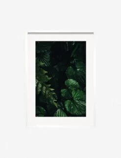 Still Life 14 Photography Print By Ashley Johnson -Home Decor Sale JohnsonStillLIfepack7 14Whiteframe