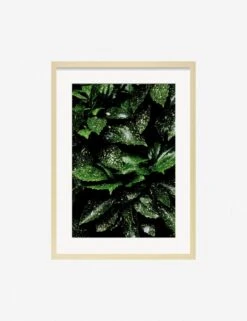 Still Life 7 Photography Print By Ashley Johnson -Home Decor Sale JohnsonStillLifePack7 7naturalframe
