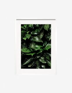 Still Life 7 Photography Print By Ashley Johnson -Home Decor Sale JohnsonStillLifePack7 7whiteframe