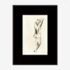 Charcoal Nudes 3 Wall Art By ZBC House -Home Decor Sale LG ZBC CNudes3 15X20 BB Product