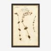 Herbarium A Wall Art -Home Decor Sale LULU 23 0066A