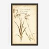 Herbarium E Wall Art -Home Decor Sale LULU 23 0066E