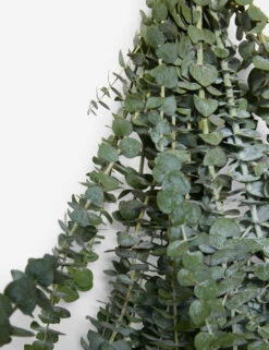 Live Baby Blue Eucalyptus Bunch -Home Decor Sale LiveBabyBlueEucalyptusBunch 14644