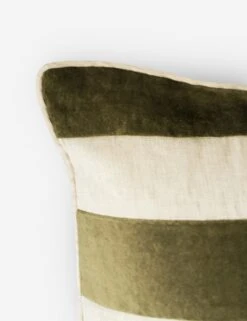 Borroto Velvet Stripe Pillow -Home Decor Sale Lulu and Georgia 1003158 DETAIL01 Product
