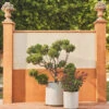 Mowry Indoor/Outdoor Planter -Home Decor Sale Lulu and Georgia 10 PlanterVignettes 1488 Site Crop Lifestyle