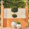 Jaziel Indoor/Outdoor Planter