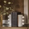 Sanya Bookends (Set Of 2) By Regina Andrew -Home Decor Sale Lulu and Georgia 20 1651WT 15 Product