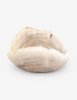 Noki Petrified Wood Bowl -Home Decor Sale Lulu and Georgia 227714 001 DET 4 Product 90383780 8ad8 40ba a1ec 31879755116a