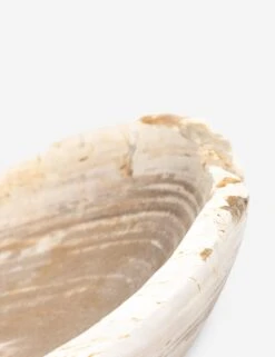 Noki Petrified Wood Bowl -Home Decor Sale Lulu and Georgia 227714 001 DET 6 Product 8782668c eeed 4545 95c3 5ebebaed3906