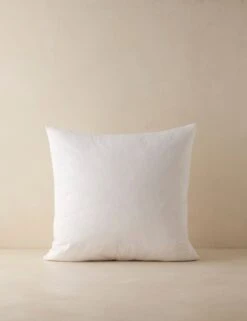Feather Down Decorative Pillow Insert -Home Decor Sale Lulu and Georgia 22x22PillowInsert A06573650050 Product