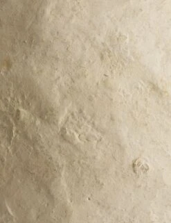 Olivos Paper Mache Decorative Vase By Amber Lewis X Four Hands -Home Decor Sale Lulu and Georgia 239856 001 DET 2 Product