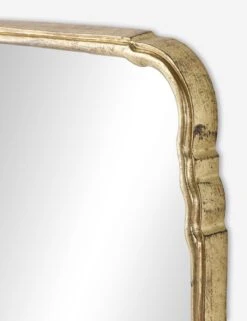 Coudray Floor Mirror -Home Decor Sale Lulu and Georgia 247470 001 DET 1 Product