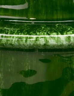 Jelsa Vase -Home Decor Sale Lulu and Georgia 7SATU MDGRN 3 Product