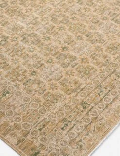 Ricci Handwoven Wool Rug -Home Decor Sale Lulu and Georgia BORI2304 65810 corner Product