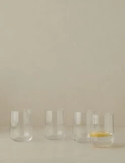 Borough Glassware By LSA International