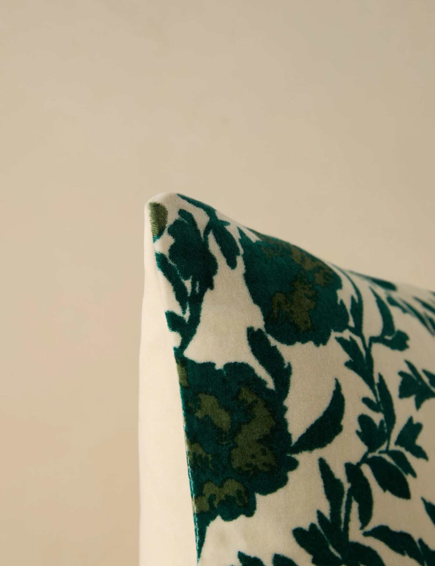 Corabel Velvet Pillow - Image 15