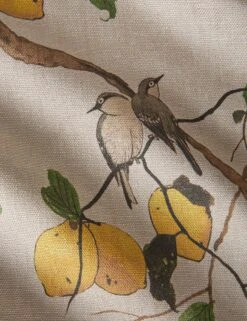 Lemon Birds Flax Linen Fabric By Nathan Turner -Home Decor Sale Lulu and Georgia LemonBirdsFlaxLinenFabricbyNathanTurner Natural L0484037 0323 product
