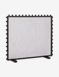 Lochlan Fireplace Screen -Home Decor Sale Lulu and Georgia LochlanFireplaceScreen A0659723 0122 product