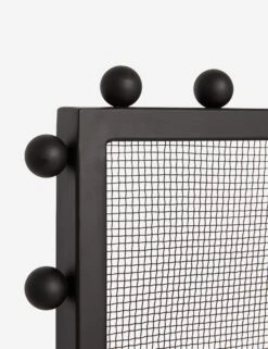 Lochlan Fireplace Screen -Home Decor Sale Lulu and Georgia LochlanFireplaceScreen A0659723 0125 product