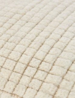 Mitsuki Pillow -Home Decor Sale Lulu and Georgia NVO006 detail texture Product