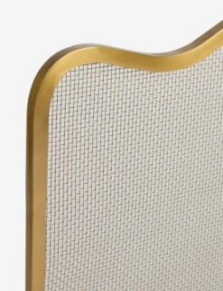 Rook Fireplace Screen By Sarah Sherman Samuel -Home Decor Sale Lulu and Georgia RookFireplaceScreenbySarahShermanSamuel A066139003 Product