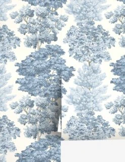 Central Park Wallpaper By Scalamandre -Home Decor Sale Lulu and Georgia WW 0002WP88583D copy Product