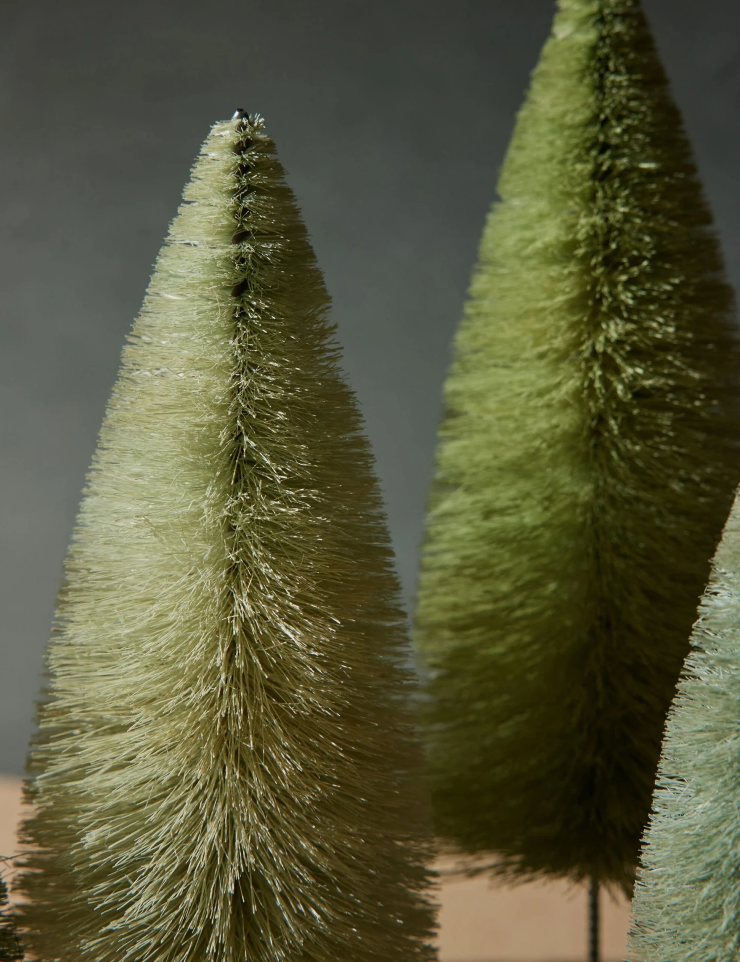 Rainbow Trees (Set Of 6) By Cody Foster And Co - Image 6