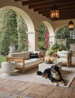 Orlanda Indoor/Outdoor Rug -Home Decor Sale OutdoorLivingRoomI 199 WithPup SITECROP