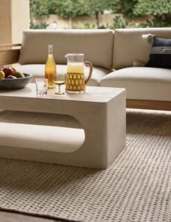 Orlanda Indoor/Outdoor Rug -Home Decor Sale OutdoorLivingRoomI 320 SITECROP 3