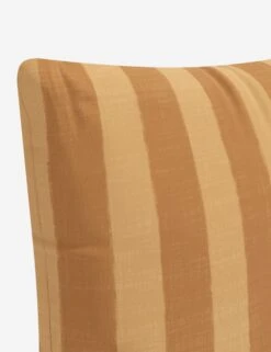 Alandra Indoor / Outdoor Pillow -Home Decor Sale PL18PBRCBMRSTSP 5