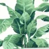 Pacifico Palm Wallpaper By Nathan Turner -Home Decor Sale Pacifico Palm GreenIvory B f0f4ccab e818 4586 971d 60a76cba4229
