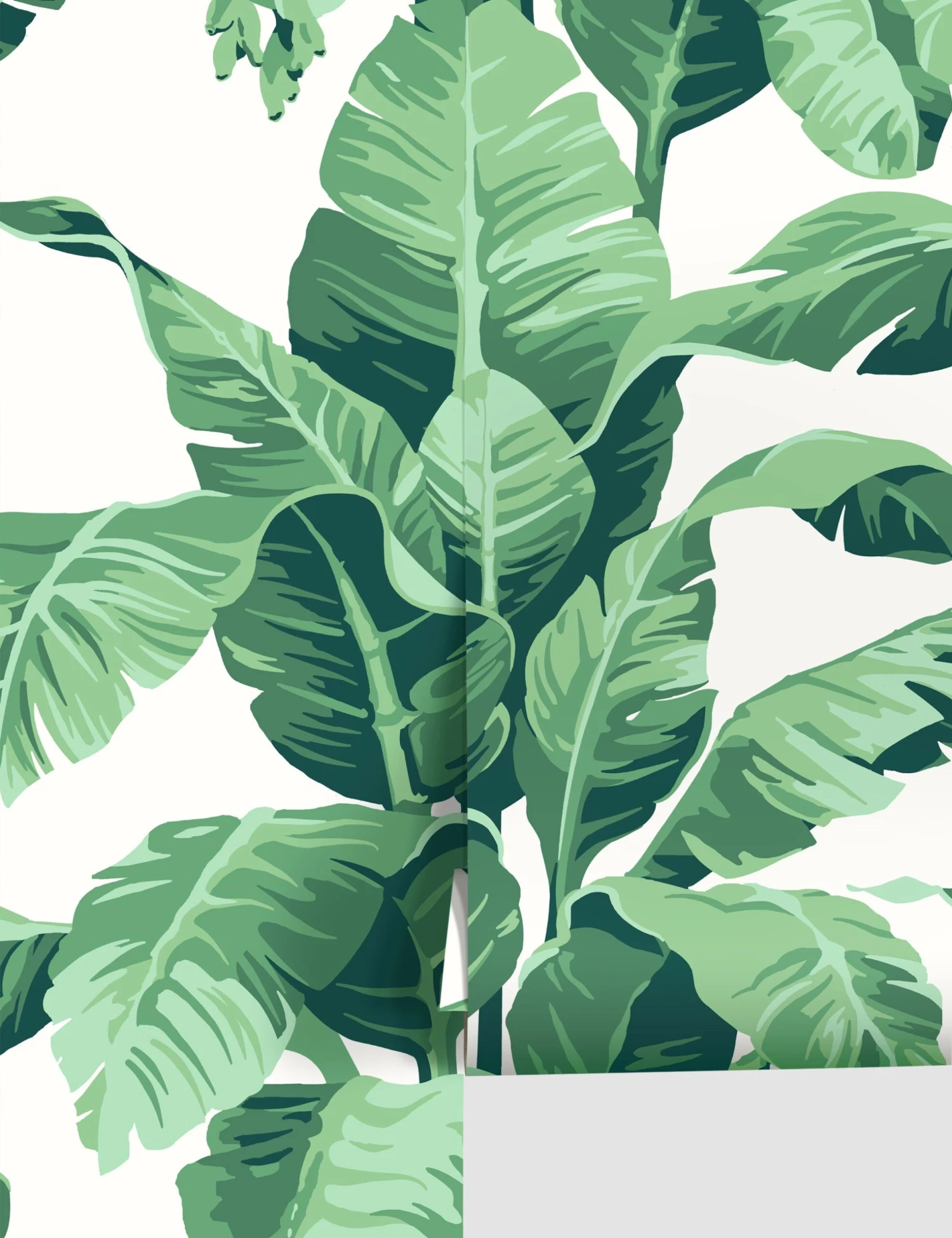 Pacifico Palm Wallpaper By Nathan Turner 3 Pacifico Palm Wallpaper By Nathan Turner