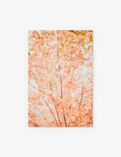 Pastel Fall Tree Photography Print By Ingrid Beddoes -Home Decor Sale PastelFallTree