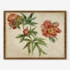 Studies Of Peonies Wall Art By Martin Schongauer -Home Decor Sale StudiesofPeoniesBronzeGoldFrame
