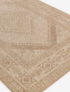 Tamaya Indoor / Outdoor Rug -Home Decor Sale TRG 2343 2