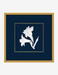 Moon Lilies 2 Wall Art