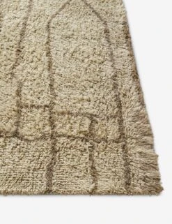 Labra Moroccan Style Hand-Tufted Wool Rug -Home Decor Sale bmc2309 front