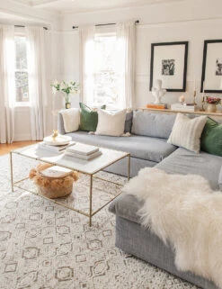 Emmit Rug -Home Decor Sale emmi rug