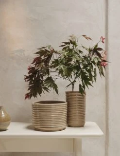 Corduroy Pot By Ferm Living -Home Decor Sale fermLIVING AW24 CorduroyPot 1104269928 CorduroyVase 1104269923